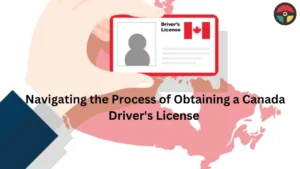 Everything You Need to Know About Getting a Canada Driver’s License