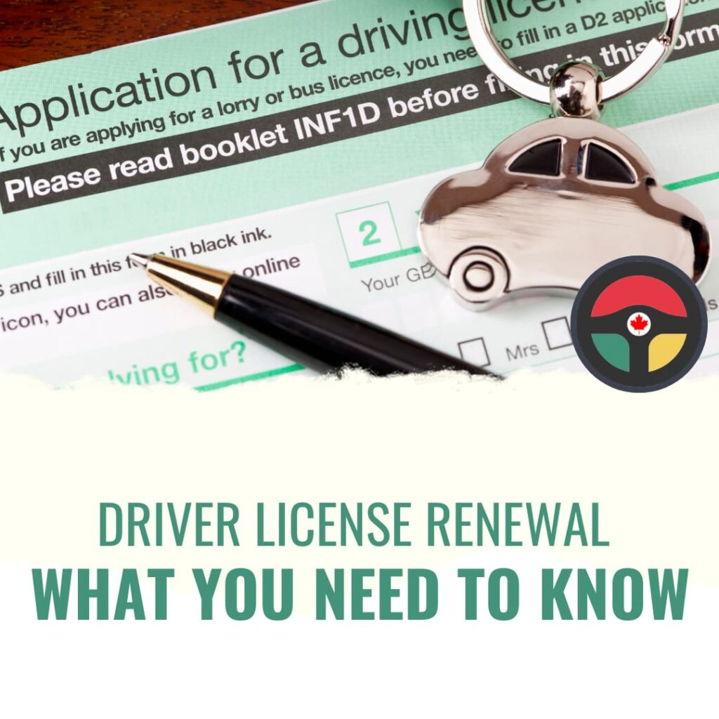 Driver License Renewal-1